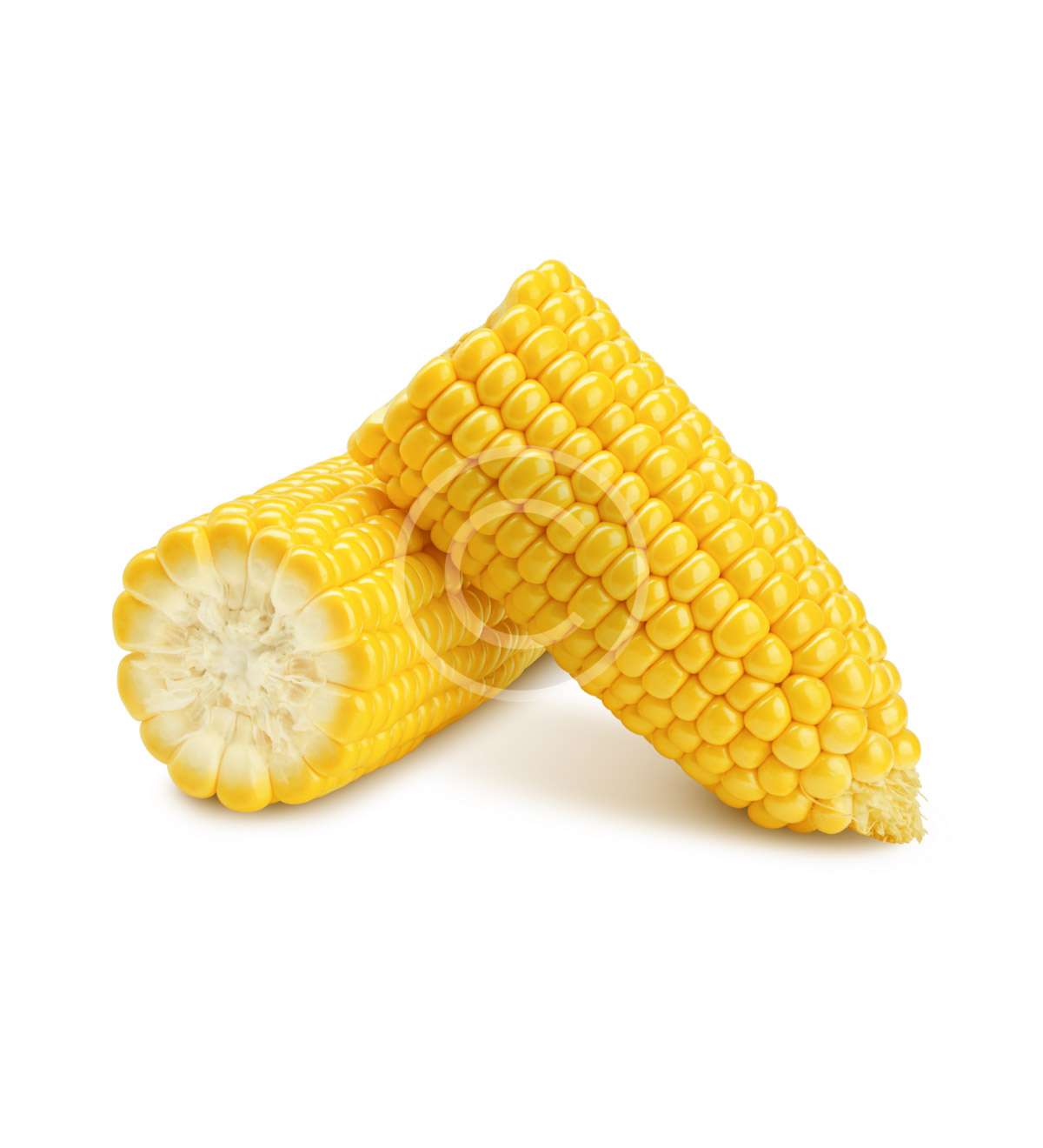 product-image24-copyright